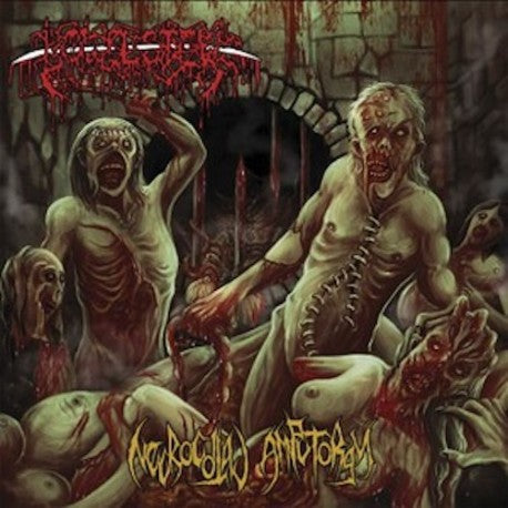 Bowel Stew "Necrocoital Amputorgy" CD