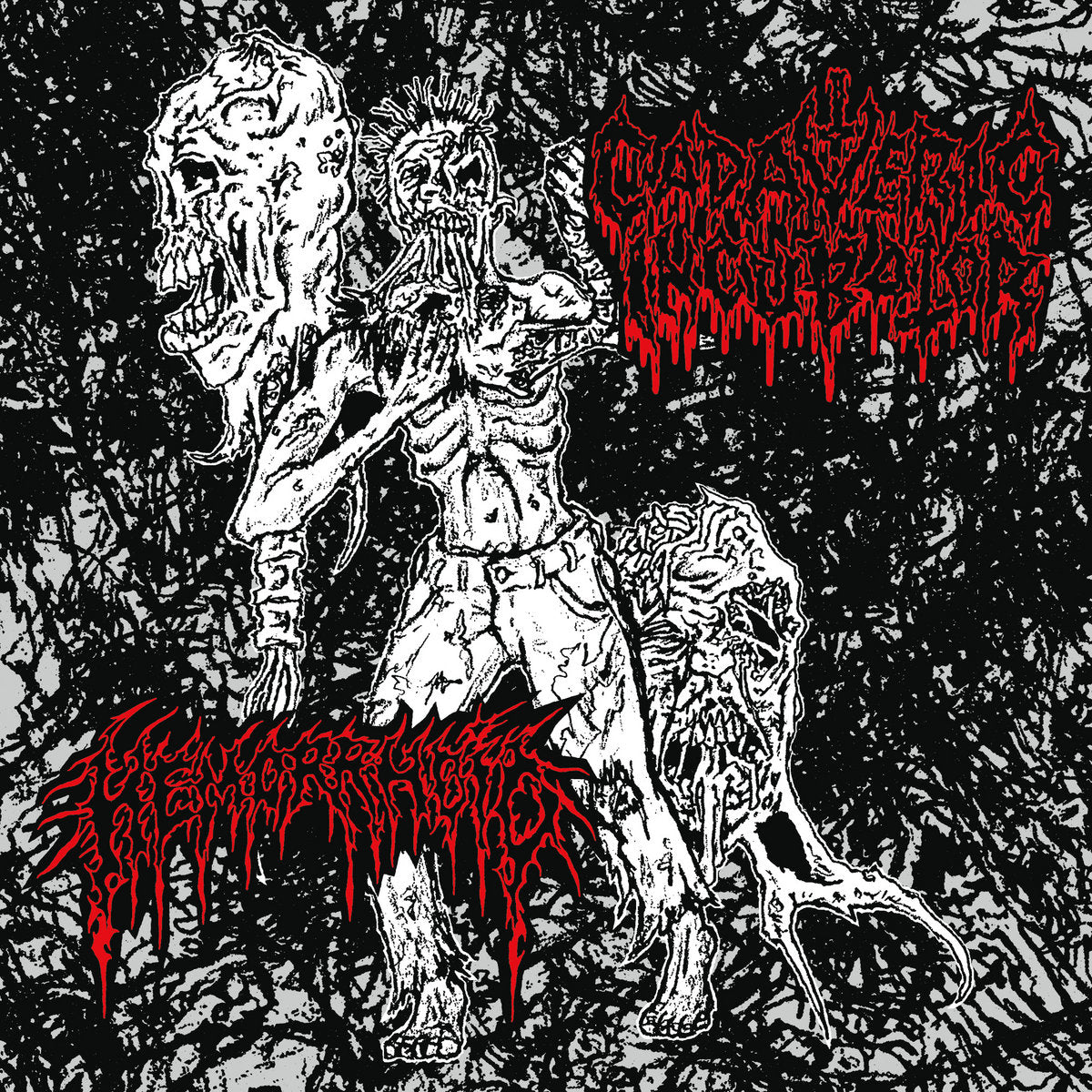 Cadaveric Incubator / Hemorrhoid split 7 ep Red
