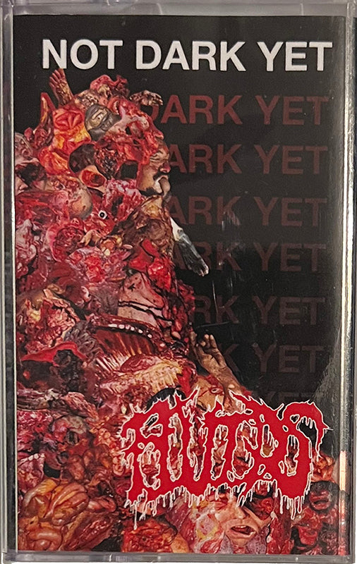 Fluids No dark yet tape cassette tape limited edition