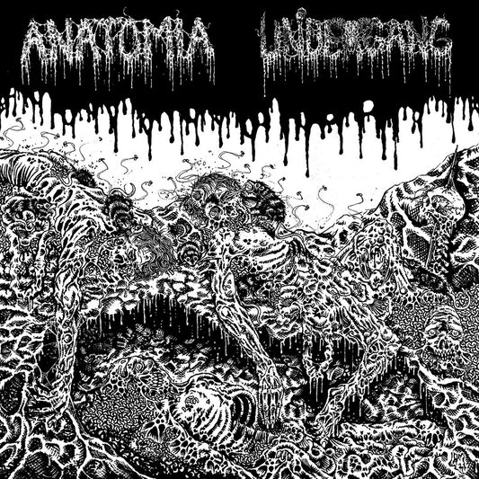 Anatomia / Undergang - Split CD