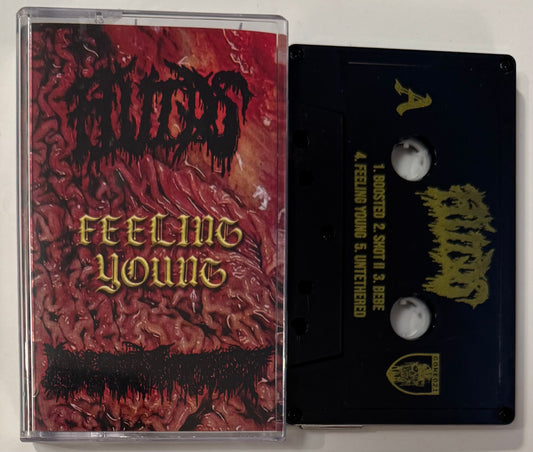Fluids / Pharmacist - split Cassette Tape