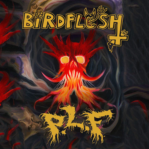 BIRDFLESH / PLF - SPLIT CD