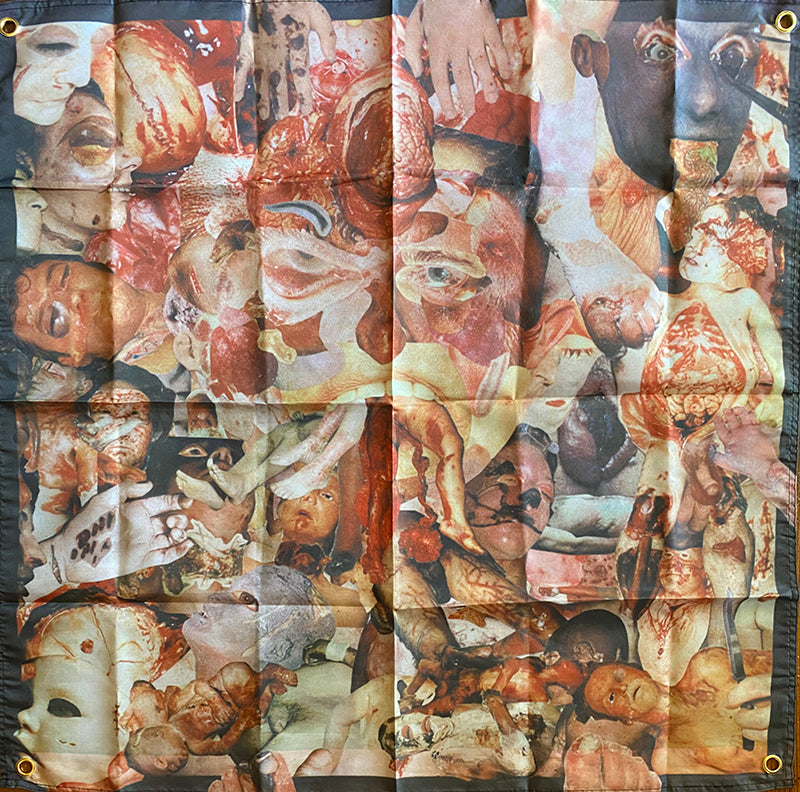 carcass reek of putrefaction flag goregrind gore not war