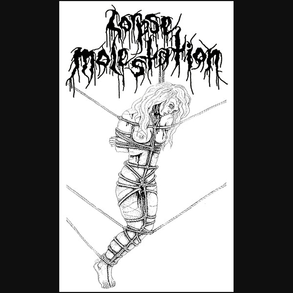 Corpse Molestation " Holocaust Wolves of the Apocalypse " Banner /  Flag / Tapestry