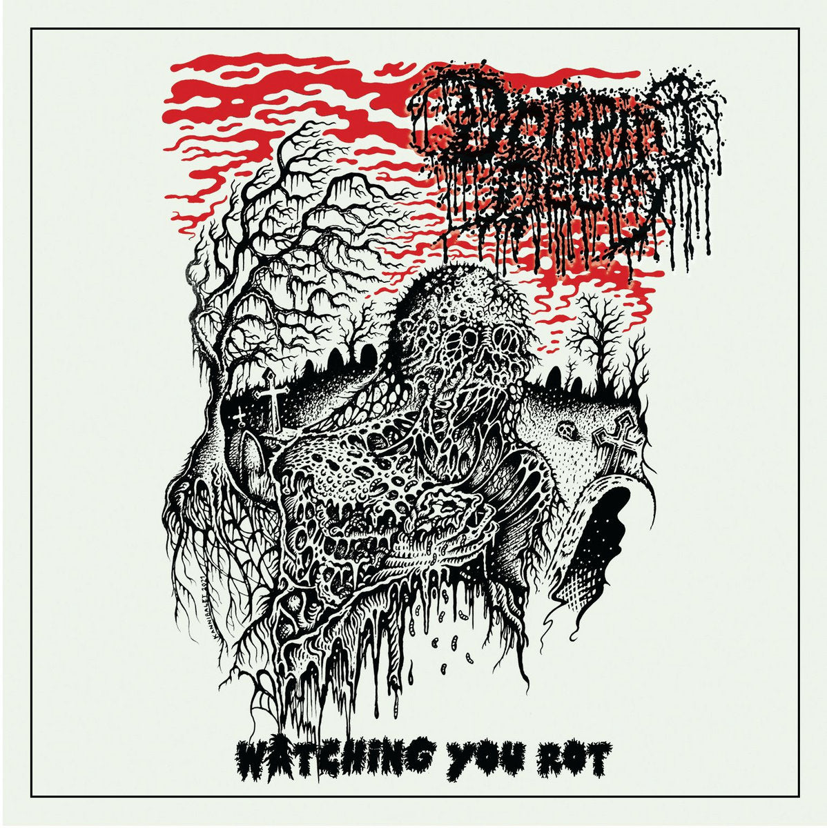 Dripping Decay Watching You Rot CD