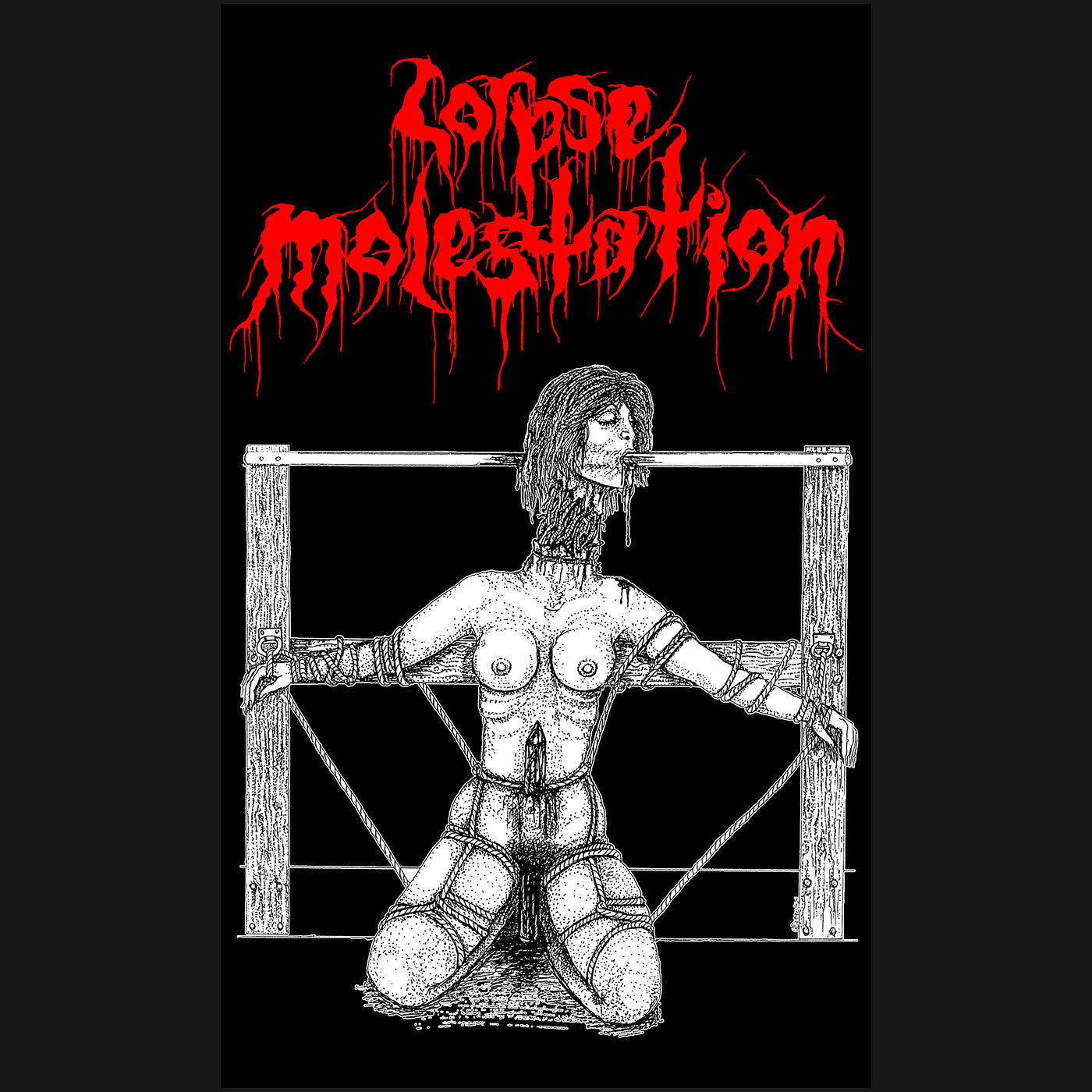 Corpse Molestation " Demo " Banner /  Flag / Tapestry